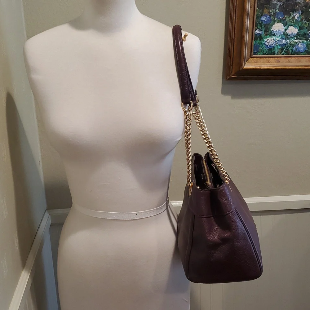 Coach Brooke Chain Carryall Bag - Picture 4 of 13